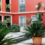 Dùplex Lirio 8